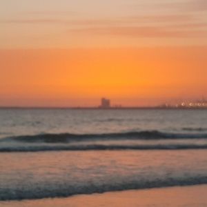 Meet your Posher, Hafid